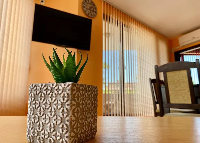 Apartamento Cozy - St6 *